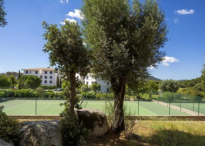 Hugo Domaine D Arca Porto Vecchio